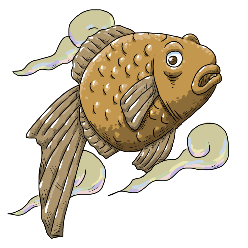 ポモ(梵魚)のイラスト